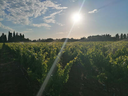 Station Brumisation Lansargues Station Brumisation Lansargues