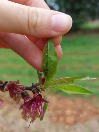 Ça y est, la nature se réveille ! Ça y est, la nature se réveille !